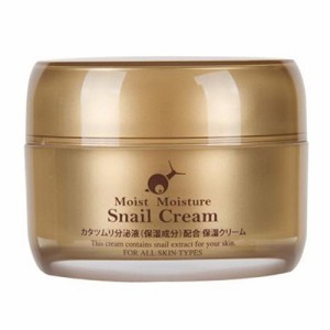 SKIN HOLIC (スキンホリック) モイストモイスチャークリーム 50g - スキンホリック 