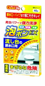 洗浄剤 流し台の排水口用 塩素系 顆粒タイプ 40ｇ 泡ポンＥＸ (100円ショップ 100円均一 100均一 100均)