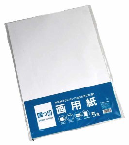 画用紙 四つ切 54×38cm 5枚入 (100円ショップ 100円均一 100均一 100均)