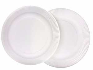 紙皿 ホワイト 直径23cm 10枚入 (100円ショップ 100円均一 100均一 100均)