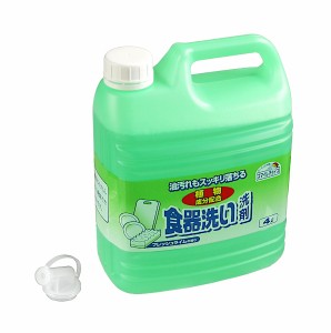 食器洗い洗剤 スマイルチョイス 4L