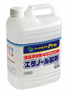 エタノール 製剤の通販｜au PAY マーケット