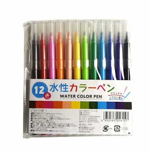 水性カラーペン 12色入 (100円ショップ 100円均一 100均一 100均)