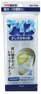 製氷皿 フタ付 特大 (100円ショップ 100円均一 100均一 100均)