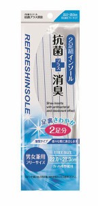 インソール リフレッシュ 抗菌＋消臭 男女兼用フリーサイズ(22〜28cm) 2足組 (100円ショップ 100円均一 100均一 100均)