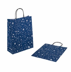 ペーパーバッグ 手提げ 縦型 星 Ｌサイズ(35×27×マチ11cm) 2枚入 ［色指定不可］ (100円ショップ 100円均一 100均一 100均)