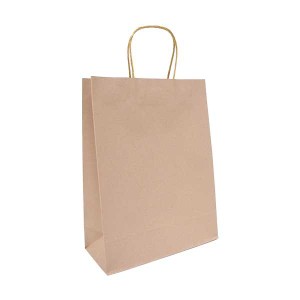 ペーパーバッグ クラフトカラー 30×23×マチ10cm 2枚入 ［色指定不可］ (100円ショップ 100円均一 100均一 100均)