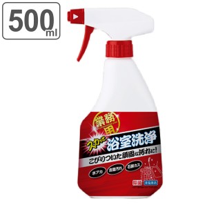 お風呂洗剤 500ml 業務用 スカッと浴室洗浄 （ 風呂 バス 浴室 浴槽 湯アカ 皮脂 掃除 清掃 湯垢 風呂洗剤 業務用洗剤 石鹸カス 洗剤 汚