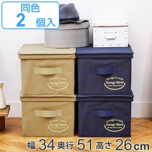 収納ボックス クローゼットのフタ付整理箱 2個組 （ 収納ケース 幅34×奥行51×高さ26cm ケース 収納 衣類収納 クローゼット 持ち手付き 