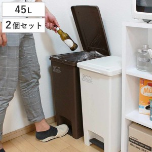 ゴミ箱 45L 同色2個セット エバン ペダルペール ふた付き （ ごみ箱 ペダル式 45リットル 分別 蓋つき プラスチック フタ付き 足踏み 3分