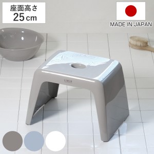 風呂椅子 リアロ 25cm 日本製 （ 風呂イス 風呂いす 風呂 お風呂 いす イス 椅子 抗菌 銀 Ag 防カビ 25 バスチェア 腰掛け 浴室 滑り止め
