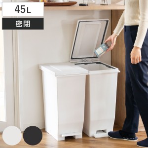 ゴミ箱 45L 密閉ペダルペール エバン （ ごみ箱 45リットル ニオイ漏れ 防止 密閉 スリム シンプル 分別 ペダル式 パッキン EBAN 袋止め