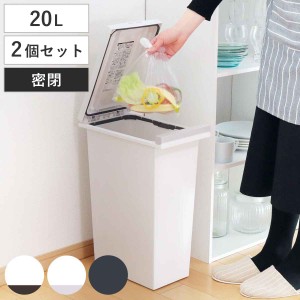 ゴミ箱 20L 同色2個セット 密閉プッシュペール エバン （ ごみ箱 20リットル 2個セット ニオイ漏れ 防止 密閉 スリム シンプル 分別 ワン