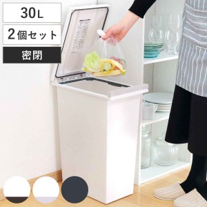 ゴミ箱 30L 同色2個セット 密閉プッシュペール エバン （ ごみ箱 30リットル ニオイ漏れ 防止 密閉 スリム シンプル 分別 ワンタッチ パ