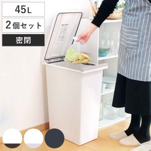 ゴミ箱 45L 同色2個セット 密閉プッシュペール エバン （ ごみ箱 45リットル ニオイ漏れ 防止 密閉 スリム シンプル 分別 ワンタッチ パ