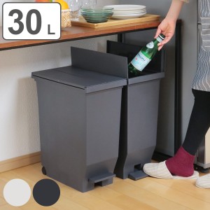 ゴミ箱 30L エバン 両開きペダルペール （ ごみ箱 30リットル ダストボックス 両開き 棚下 スリム キッチン 分別 ふた付き おしゃれ カッ