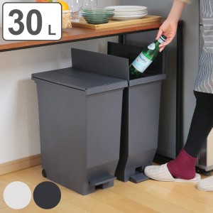 ゴミ箱 30L 同色2個セット エバン 両開きペダルペール （ ごみ箱 30リットル ダストボックス 両開き 棚下 スリム キッチン 分別 ふた付き