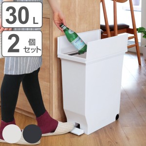 ゴミ箱 30L 同色2個セット エバン 両開きペダルペール （ ごみ箱 30リットル ダストボックス 両開き 棚下 スリム キッチン 分別 ふた付き