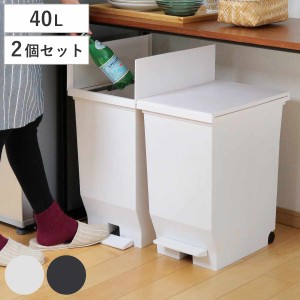 ゴミ箱 40L 同色2個セット エバン 両開きペダルペール （ 45リットルゴミ袋対応 40リットル ごみ箱 両開き 棚下 スリム ふた付き 分別 キ