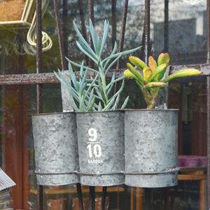 ミニ 植木鉢の通販 Au Pay マーケット