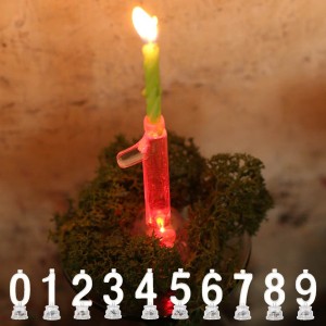 キャンドル LED 数字 ナンバーキャンドル 誕生日 0 1 2 3 4 5 6 7 8 9 ダルトン DULTON ( ナンバーキャンドル キャンドルホルダー LEDラ