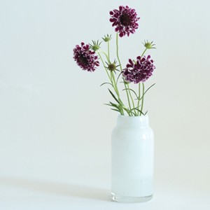 花瓶 DGボトルベース 直径7.5×高さ15.5cm ホワイト ガラス （ おしゃれ 花器 花びん 一輪挿し フラワーベース 円形 丸 インテリア 生け