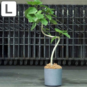 プランター 植木鉢 FR円柱ラスティックグレー 直径35×高さ35.5cm （ プランター プラントポット 植物用ポット 花器 鉢カバー ポット 繊