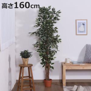 フェイクグリーン フィカス 高さ160cm 斑入り （ 観葉植物 フェイク 人工観葉植物 木 樹 造花 風水 6号鉢対応 水やり不要 人工植物 グリ