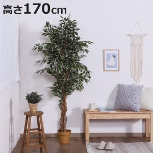 フェイクグリーン フィカス 高さ170cm 斑入り （ 観葉植物 フェイク 人工観葉植物 木 樹 造花 風水 7号鉢対応 水やり不要 人工植物 グリ