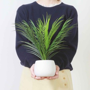 フェイクグリーン ヤシ 高さ36cm セラミックポット （ 観葉植物 フェイク 人工観葉植物 造花 植物 鉢植え アートグリーン 水やり不要 お