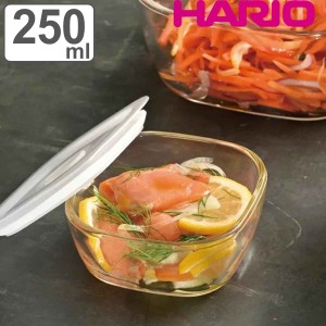 ハリオ 保存容器 250ml 耐熱ガラス製密閉保存容器 角型 （ HARIO 耐熱ガラス 密閉 ガラス 電子レンジ対応 食洗機対応 オーブン対応 日本