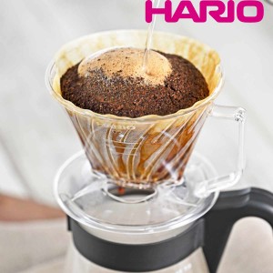 ハリオ ドリッパー コーヒーフィルターセット 1〜2杯用 ペガサス プラスチック （ HARIO 食洗機対応 コーヒードリッパー コーヒーフィル