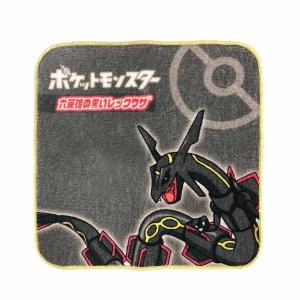 ポケモンミラーアートボード（黒いレックウザＶer.） 楽天に黒いレックウザが光臨！ 屏風やミラーボードがもらえる