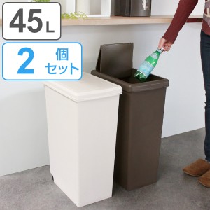 ゴミ箱 2個セット 45L 分別 ふた付き スライドペール 45リットル ごみ箱 ダストボックス 45リトッル ( 屑入れ フタ付き 大容量 プラスチ