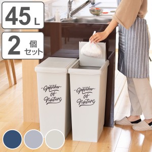 ゴミ箱 45L 同色2個セット スライドペール アースカラー ふた付き （ 45リットル 45l スリム スライド蓋 ごみ箱 キッチン 分別 ダストボ