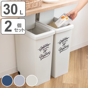 ゴミ箱 30L 同色2個セット スライドペール アースカラー （ 30リットル 30l スリム スライド蓋 ごみ箱 キッチン 分別 縦型 2個 まとめ買