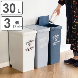 ゴミ箱 30L 同色3個セット スライドペール アースカラー （ 30リットル 30l スリム スライド蓋 ごみ箱 キッチン 分別 縦型 3個 まとめ買