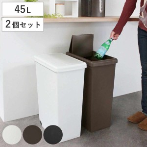 ゴミ箱 45L 同色2個セット スライドペール 無地 ふた付き （ ごみ箱 45リットル スリム スライド蓋 キッチン 分別 縦型 2個 まとめ買い 