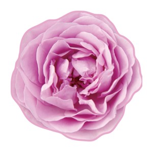 ハンドタオル リアルモチーフタオル バラ 花 薔薇 面白グッズ （ リアル モチーフタオル ローズ ピンク ハンカチタオル 本物みたい おも