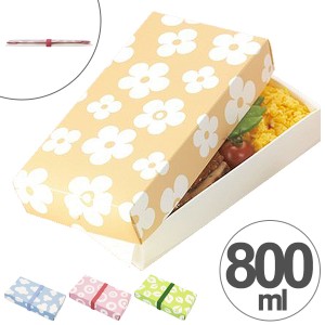 折り畳みランチボックス　一段　800ml　ネイチャー　日本製　スリム （ お弁当箱 ランチボックス サンドイッチケース 折りたたみ式 弁当