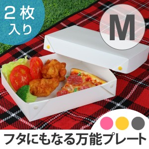 プレート　M　HOH　プラスチック　組み立て　2枚入り　日本製 （ 電子レンジ対応 食洗機対応 皿 食器 お皿 器 おしゃれ 白 キッズ 子供 