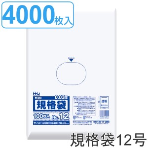 ゴミ袋 規格袋 12号 食品検査適合 厚さ0.03mm 100枚入り 40袋セット 透明 （ ポリ袋 100枚 40袋 クリア 34×23cm 食品 キッチン 台所 調