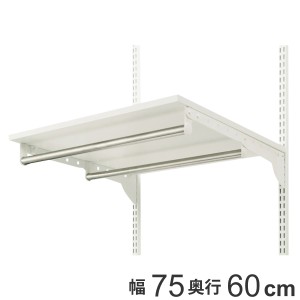 壁面収納 フィットラック 棚 パイプ付き ＴＰセット 幅75cm 奥行60cm （ 棚板 ハンガーラック DIY 収納 吊り下げ収納 クローゼット ホワ