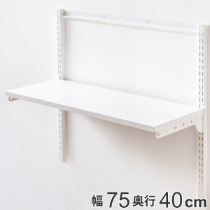 壁面収納 棚 幅75cm×奥行40cm TSセット フィットラック （ 棚板 木製 DIY 収納 可動棚 オープンラック 収納ラック 有効活用 収納スペー