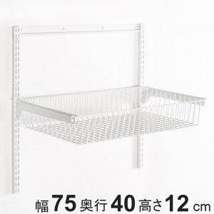 壁面収納 フィットラック バスケットセット 幅75cm （ 幅75×奥行40×高さ12cm バスケット パーツ オプション 部品 DIY 収納 小物収納 小