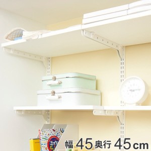 壁面収納 棚 幅45cm 奥行45cm フィットラック TSセット （ 棚板 木製 DIY 収納 ホワイト 可動棚 オープンラック 収納ラック 有効活用 収