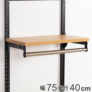 壁面収納 棚 パイプ付 TPセット 幅75cm×奥行40cm フィットラック （ パイプ付き 棚板 ハンガーラック DIY 収納 吊り下げ収納 クローゼッ