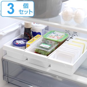 冷蔵庫収納 冷蔵庫スッキリケース13 3個セット シェルパ （ 日本製 抗菌 消臭 収納ケース 冷凍庫収納 整理ボックス 整理用品 冷蔵庫 冷凍