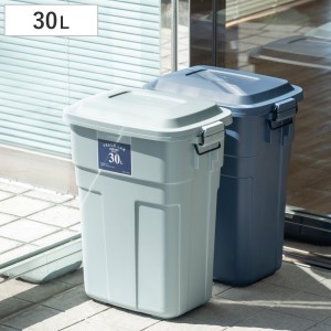 ゴミ箱 ロック付き 30L プラスチック （ ごみ箱 30リットル 丈夫 屋外 大容量 ダストボックス ふた付き ベランダ おしゃれ イタズラ防止 