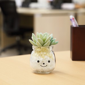 フェイクグリーン 人工観葉植物 ファミーユ 消臭アーティフィシャルグリーン エミリー （ 造花 人工植物 観葉植物 人工 植物 多肉植物 リ